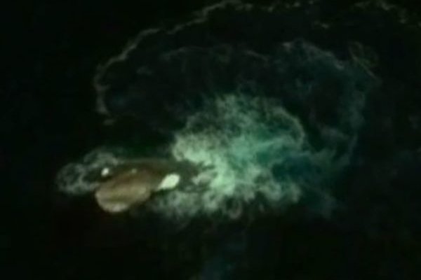 Как вывести деньги с kraken