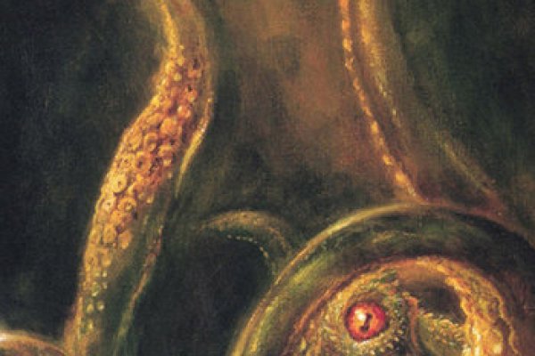 Kraken place