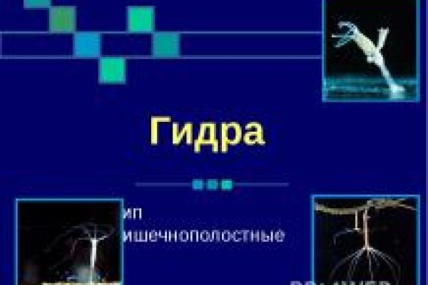 Как зайти на кракен