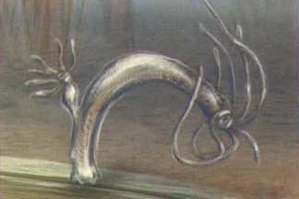 Kraken 17at