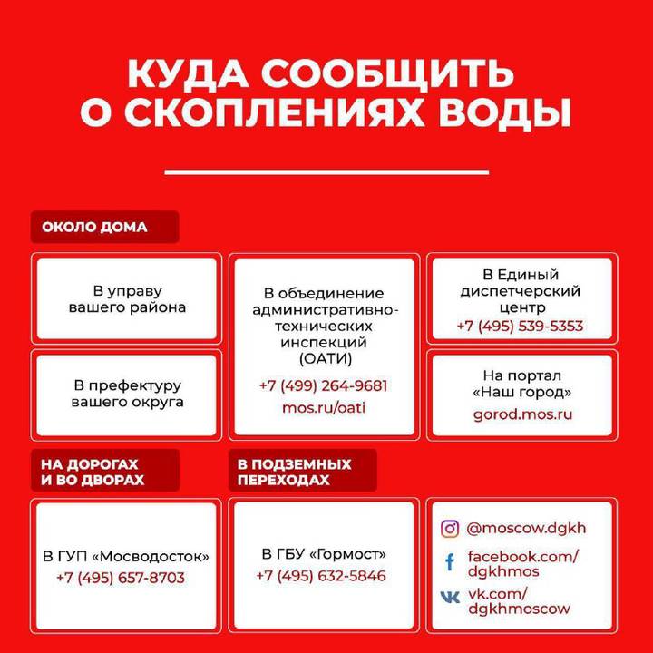 Кракен маркет даркент только через тор