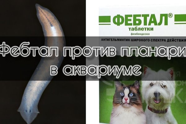 Кракен портал