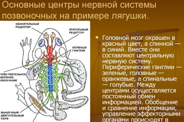 Кракен это что за сайт