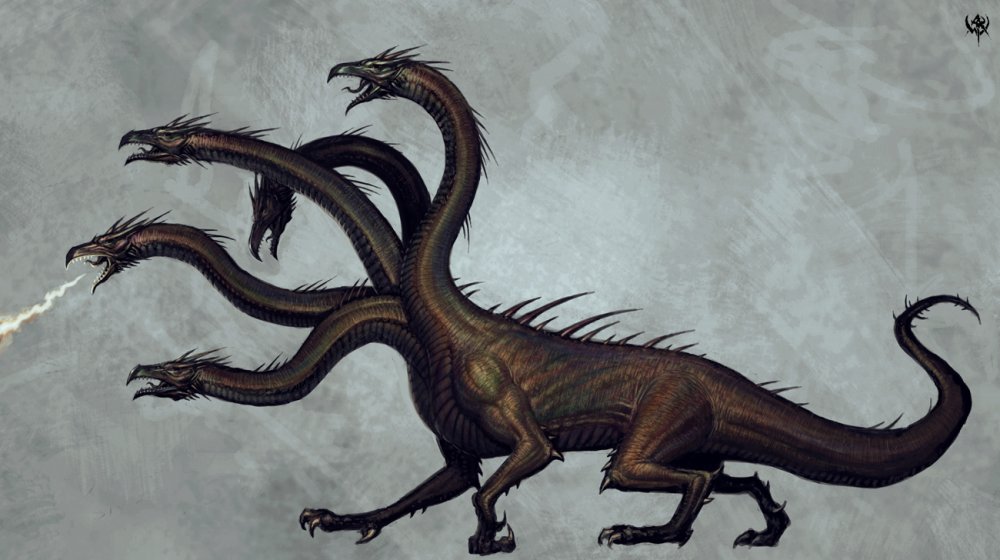Kraken19at